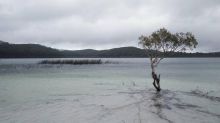 FRASER ISLAND TOURS Image eClassifieds4u 4