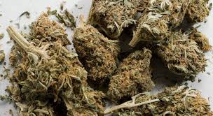 marijuana / cannabis hash from moroco Image eClassifieds4u