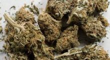 marijuana / cannabis hash from moroco Image eClassifieds4u 2