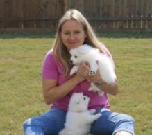 White Pomeranian Puppies/k.ellyje.ronica1@gmail.com
