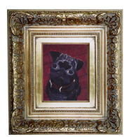 Pugs on Ranches in Kansas Image eClassifieds4u