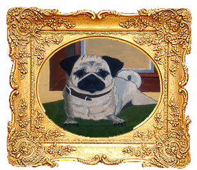 Pugs on Ranches in Kansas Image eClassifieds4u