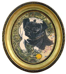 Pugs on Ranches in Kansas Image eClassifieds4u