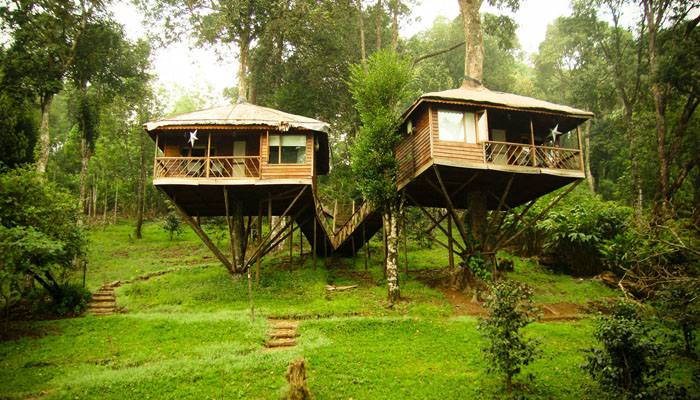 kerala tour package from Mumbai - Find best Deals on Flamingo travels Image eClassifieds4u