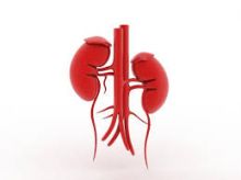 Understanding kidney disease Florence SC