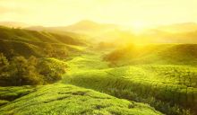 Kerala Tour Packages – A Trip To God’s Own Country - Flamingo Travels Image eClassifieds4u 2