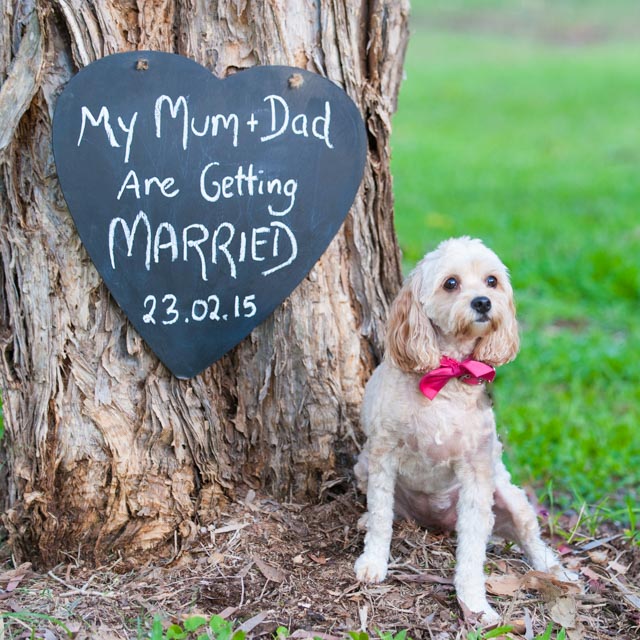 Beach Wedding at The Gold Coast | Elope To The Coast Image eClassifieds4u