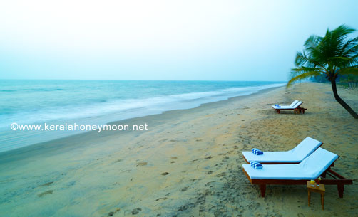The best Kerala tour packages and enjoy heaven while on earth - Flamingo Travels Image eClassifieds4u
