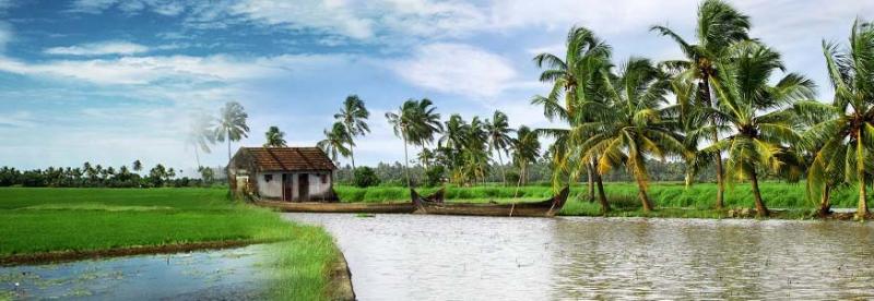 Kerala packages has a lot of things to enjoy - Flamingo Travels Image eClassifieds4u