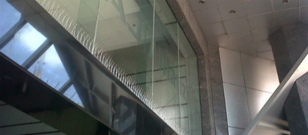 Bird proofing Solutions in India Image eClassifieds4u