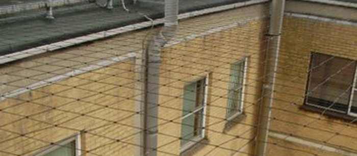 Bird proofing Solutions in India Image eClassifieds4u