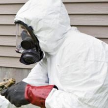 Fumigation Services | Quarantine Services - RA Dibbs, Brisbane Image eClassifieds4u 3