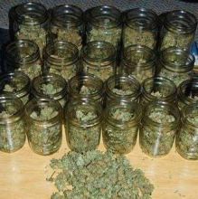 TOP SHELF MEDICATED MARIJUANA AND OIL FOR SALE AT DISCOUNT CALL OR TEXT (909)4735523