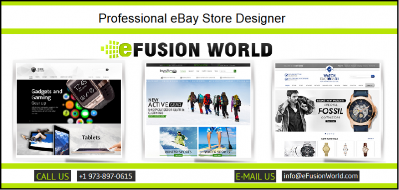 Choose a Professional Designer for your eBay Store Image eClassifieds4u