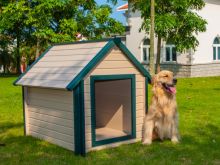 Securepets.com, the best place to buy air conditioned dog houses