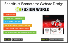 Custom Ecommerce Website Design Service