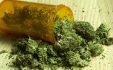 Buy Medical Cannabis Online | buy medical marijuana online | marijuana seeds for sale | buy medical
