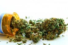 medical cannabis for sale | buy medical weed online | medical marijuana online store Image eClassifieds4U