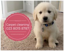 Carpet Cleaning in Portsmouth