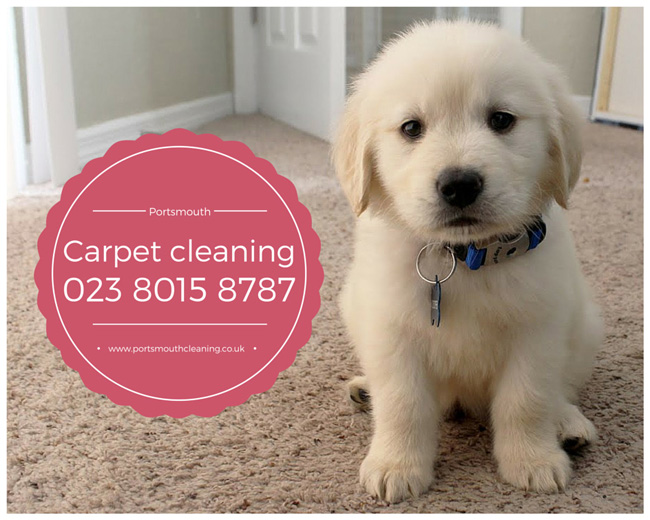 Carpet Cleaning in Portsmouth Image eClassifieds4u