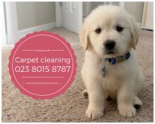 Carpet Cleaning in Portsmouth Image eClassifieds4U