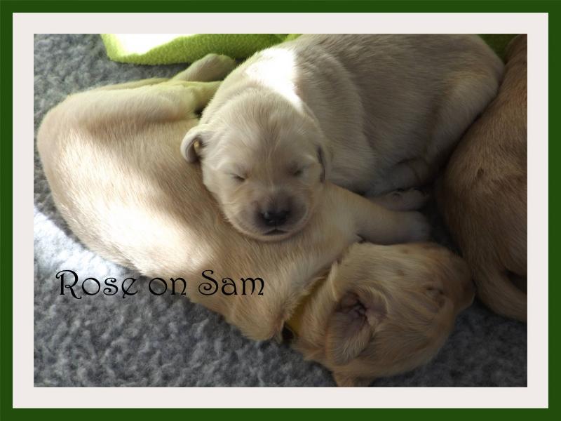 SallyandMe Image eClassifieds4u