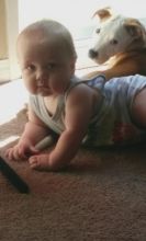 Puppy for sale Image eClassifieds4u 4