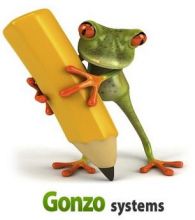 Website Marketing Jacksonville Florida - Gonzo Systems