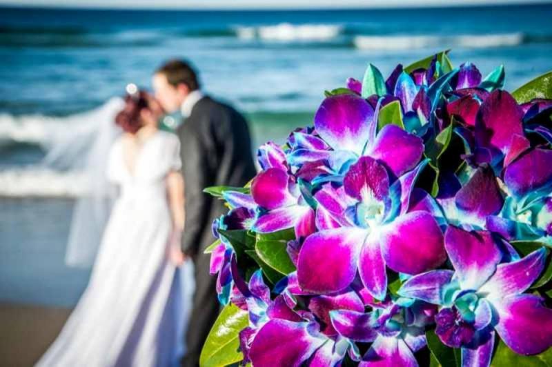 Budget Weddings – Marriage Celebrant Gold Coast | Elope to the Coast Image eClassifieds4u