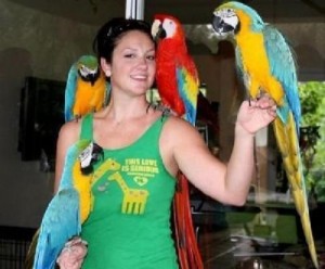 Male Blue and Gold Macaws parrots and Cage Image eClassifieds4u