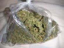 Top quality marijuana for sale