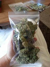 Top quality marijuana for sale Image eClassifieds4u