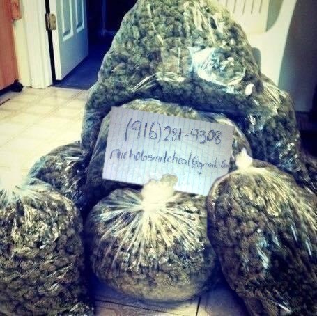 Pick up, Delivery Indoor and Out door Units from Grower 916-281-9308 Image eClassifieds4u