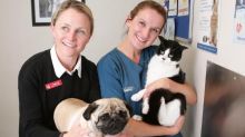 North Ryde Vet - Where You And Your Pet Can Rely On