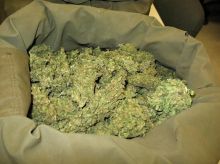 TOP SHELF MEDICAL MARIJUANA AND OILS AT DISCOUNT PRICES VIA 954-580-6894 Image eClassifieds4U