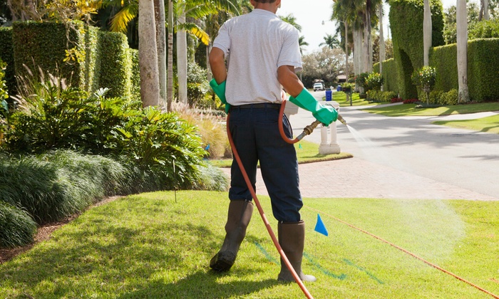 Pest and Lawn Care - What's Bugging You? Image eClassifieds4u
