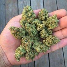 Quality medical buds Image eClassifieds4u 1