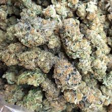 Quality medical buds Image eClassifieds4u 2