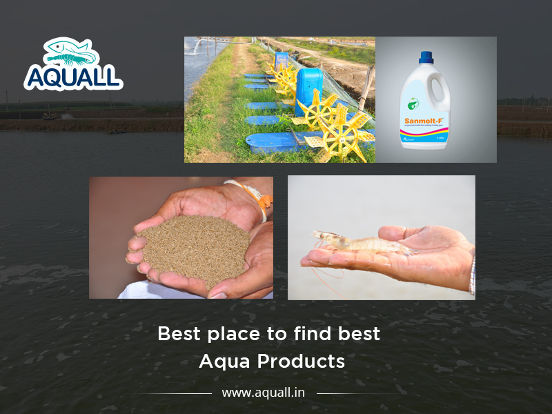 India’s Best Suppliers of Aquaculture Products - Aquall Image eClassifieds4u