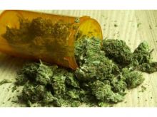 medical marijuana Image eClassifieds4U