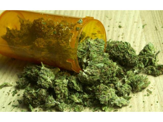 medical marijuana Image eClassifieds4u