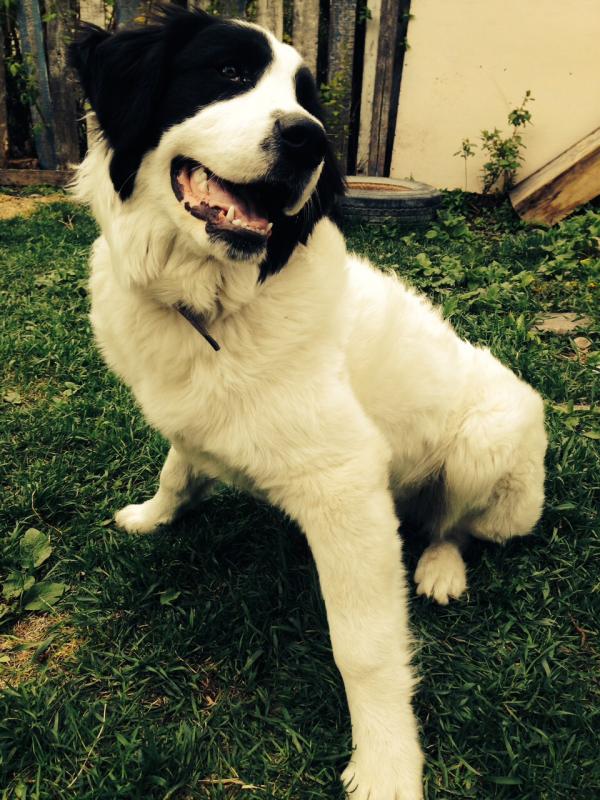 attention farmers Image eClassifieds4u