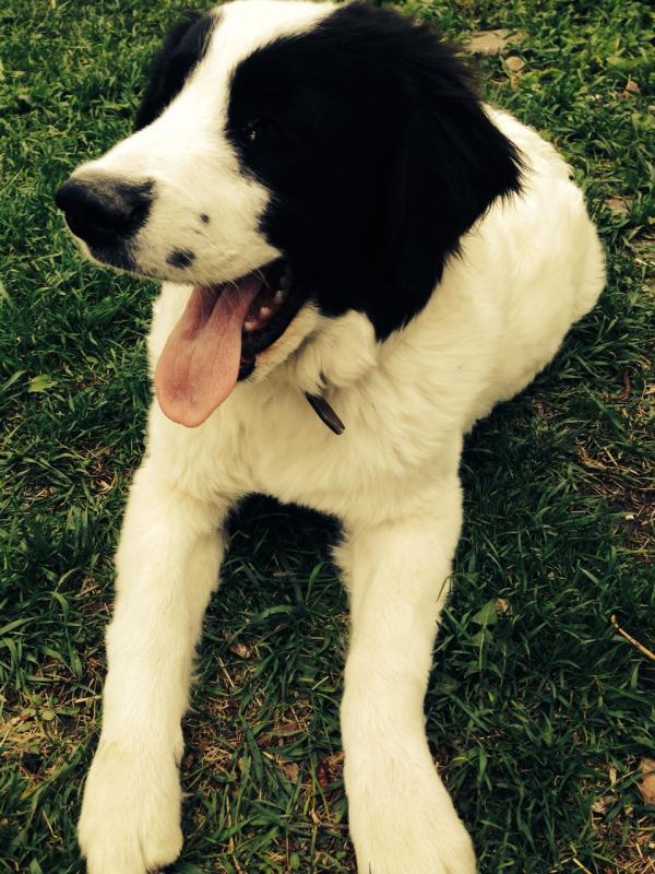 attention farmers Image eClassifieds4u