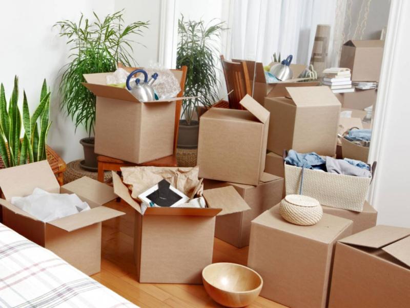 Low Cost Removalists in Castle Hill - Bill Removalists Sydney Image eClassifieds4u