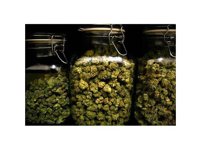 Coke, MJ ?!!? MedICAL %==% Mari and Cann420 __()__ Available now! Image eClassifieds4u