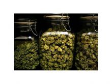 Coke, MJ ?!!? MedICAL %==% Mari and Cann420 __()__ Available now! Image eClassifieds4u 3