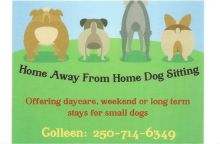 Home Away From Home Dog Sitting Image eClassifieds4U