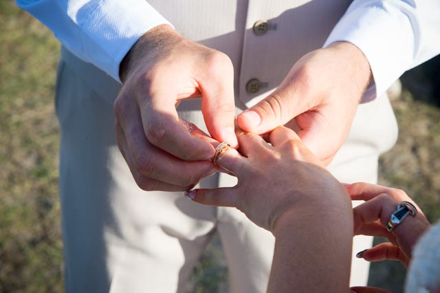 Hire Beach Weddings Gold Coast Packages - Elope to the Coast Image eClassifieds4u