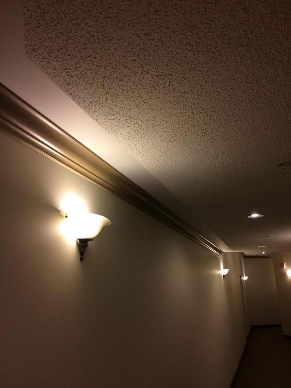 Offering clean, on time , beautiful painting service Image eClassifieds4u