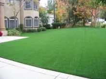 High Quality Fake Grass In Sydney - Contact Us Now For Free Quotes! Image eClassifieds4u 4